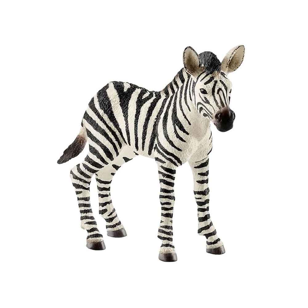 Schleich Zebra, Føl 14811