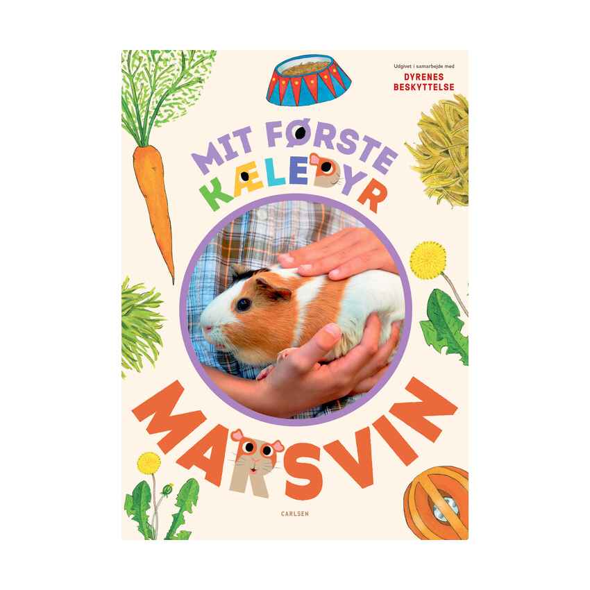 Mit første kæledyr, Marsvin