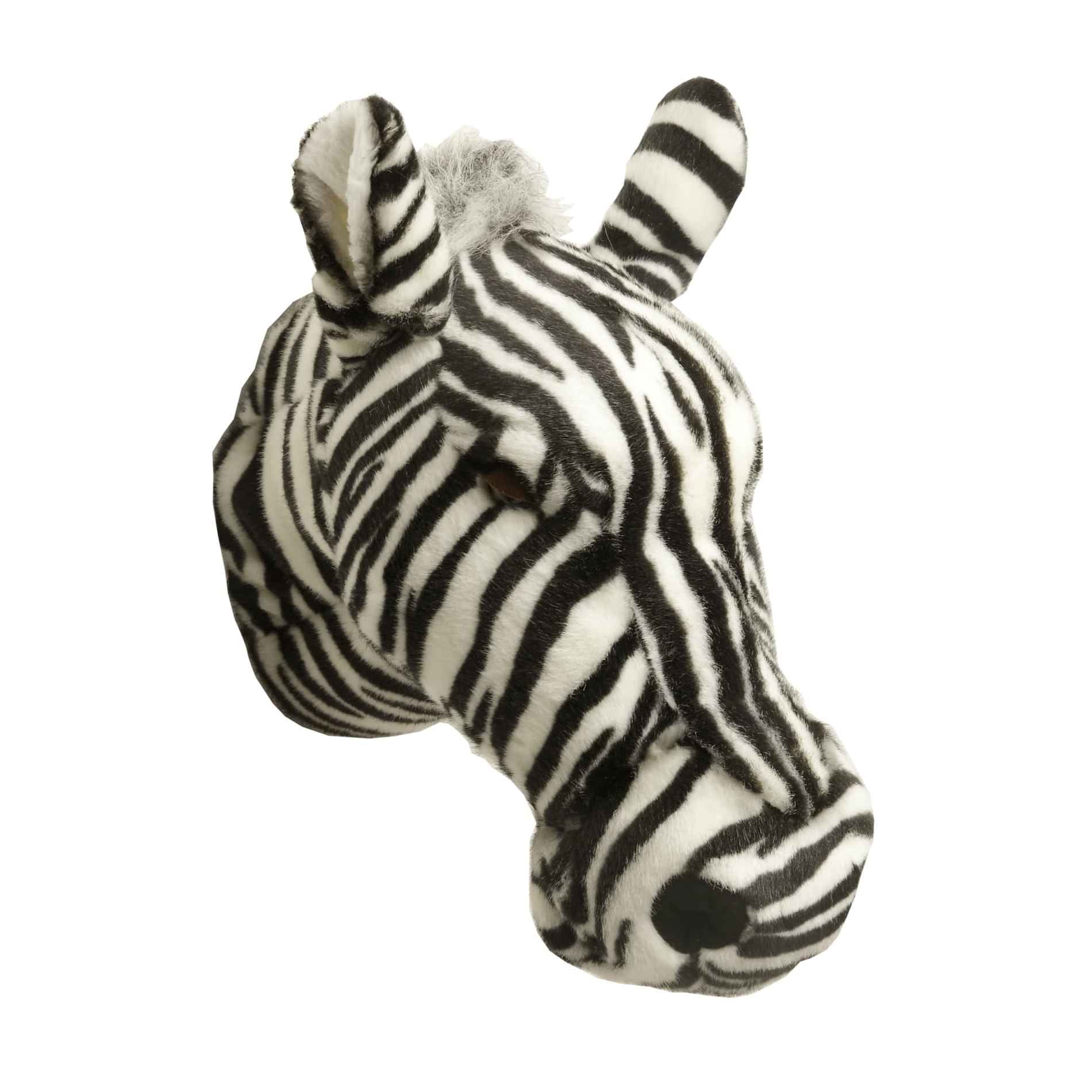 Brigbys Dyretrofæhoved, Zebra