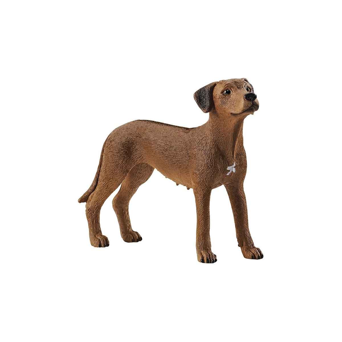 Schleich Rhodesian ridgeback 13895